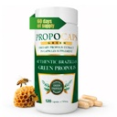 Beelife Green Propolis kapselit - 100% Green Propolis ja Bee Pollen Kapselin täydennysosa - Propolis uute, aito Brasilia - Certified ISO 22000, Kosher (120 kapselia)