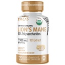 Nature's Fusions Nutri Organic Lions Mane Supplement Capsules - 1900 mg, 10:1 Dual Uutto, 120 Count - Mushroom Extract (Fruiting Body) - Kolmas osapuoli testattu