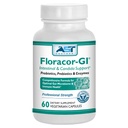 Floracor - tukee Gut & Intestinal Health - Premium Probiootti, Prebiootti ja Enzyme Formula - 60 kasvissyöjän kapselit