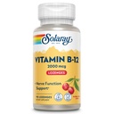 SOLARAY-vitamiini B12 2000 mikrog Lozenges - Ei sokeria, luonnon kirsikka maku B 12 täydentää hermojen toimintaa, energiaa ja punasolujen tuki - Lab vahvistettu, vegaaninen - 90 tarjoilua, 90 Lozenges