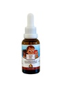 Punkin Butt Baby Ear Oil ... Orgaaninen valkosipuli, Mullein, Calendula Ear Drops Turvallinen lapsille (1 oz)