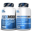 Advanced Joint Support Supplement Bundle - täydellinen Joint Support pino hyaluronihappo ja FlexMode kanssa nivelvitamiinit Glukosamiini Chondroitin MSM ja BioPerine parantaa imeytymistä