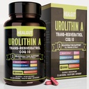 Urolithin A Supplement for Urban Working Women: Anti-Aging Capsules kanssa Trans-Resveratrol ja CoQ10 - USA Lab todennettu tuki Terve ikääntyminen ja solujen uudistuminen(9in1)