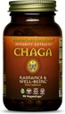 HealthForce SuperFoods Eheys Otteita Chaga Kapseli - 90 vegan kapselia