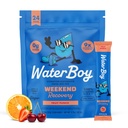 Waterboy Weekend Recovery 3,200 mg Elektrolyytti jauhe pakkaukset Inkivääri + L-Theaniini + vitamiinit Ei sokeria, Kaikki luonnolliset, Gluteeniton 24 Drink Stick Mixes (Fruit Punch)