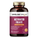 Aktivoitu Folaatti-L 5-MTHF DFE täydennysosa - Metyylifolaatti B9 MTHF B12-vitamiinilla, CoQ10-vitamiinilla ja Red Raspberry - Methylated L-Metyylifolate miesten ja naisten - 500 mikrog - 90 kasviskapselit