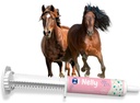 Hevosprobiootit (80cc), hevospasta pre ja probiootit + Vitamins &Minerals- 4 kanta ja 8 miljardia PMY per Serving- Immuuni- ja Gastro Health Support for Equines