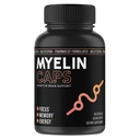 Myelin Caps, Brain Health Supplement, Focus Supplement & Brain Health with AlphaSize, Memory and Cognitive Function Support, Gluteeniton, ei-GMO (90 kapselia)