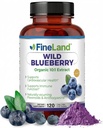 FineLand Wild Blueberry 10:1 uute, 6000 mg vahvuus, 120 vegaanikapselia, runsaasti flavonoidia ja Antosyaniineja, antioksidantti tuki aivojen ja sydämen terveydelle, 4-kuukautinen tarjonta, ei geenimuunneltuja organismeja valmistettu Yhdysvalloissa