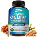 NutriFlair Organic Sea Moss 1600mg, 120 kapselia Plus Blackderwrack & Burdock - Prebiootti Super Food - Immuunijärjestelmä & Ruoansulatuskanavan terveys - Kilpirauhasen, terve iho, Keto Detox, Gut