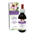 Naturalma Echinacea (Echinacea angustifolia ja purpura) Juuret ja yrtit Alkoholiton Tincture - 4 fl oz Liquid Extract in Drops - Herbal Supplement - Vegan