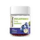 Nature's Key Melatoniini Gummies lapsille ja aikuisille, 5 mg annos Gummy kanssa B6-vitamiinia, ei-GMO,Gluteeniton mustikka maku 60