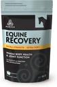 PURICA Equine Hyaluronic Acid - Horse Joint Support Supplement with Glukosamiini, MSM Powder, Betaine, Magnesium, C-vitamiini ja E - Vihreä teetä ja viinirypäleen siemenuute - Hevosen tarvikkeet ja herkut