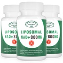 NAD+ Supplement Liposomal NAD+ Plus 800MG Nikotinamidi Ribosidi Vaihtoehto solujen energia, terve ikääntyminen ja lihasten korjaus 180 kapselia (paketti 3)