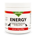 Eläinten Essentials Energia Cordyceps Sienilisä koirille ja kissoille - Tuki kestävyys, terveet hengitys- ja munuaistoiminnot, hapettumisenestoaine, sienijauheuute - 2.8 Oz (pakkaus 1)