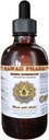 Reishi Liquid Extract - Tonic of Emperors, Organic Reishi Mushroom (Ganoderma Lucidum) Tincture, Herbal Supplement, Havaiji Pharm, Made in USA, 2 fl.oz