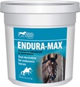 Kentucky Performance Endura-Max Elektrolyytti täydentää hevosille, 5 punta
