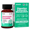 Akermansia Muciniphila + Probiootti, Postbiootti ja inulin - Gut Health Supplement for Digestion, Immunosupport - 10 miljardia PMY, Vegan & Gluteeniton