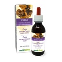 Naturalma Chaga (Inonotus obliquus) Sieni tai Sieni Alkoholiton Tincture - 4 fl oz Liquid Extract Drops - Herbal Supplement - Vegan
