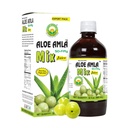 Aloe Ayurveda Aloe Amla Mix mehua 