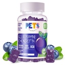 Lemmikit Puhdas Glukosamiini Chondroitin Gummies MSM & Elderberry Extra Strength - Joint Support, antioksidantti Immuuni tuki täydentää aikuisille, miehet & naiset.60 Mustikka Gummies