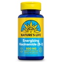 Nature's Life Energizing Niacinamide 500mg - Ei flush-vitamiini B 3 Niasiini täydentää - Hermotoiminto, aineenvaihdunta ja terve energia tuki - 60 päivän takuu, Lab vahvistettu, 100 tarjoilua, 100 tablettia