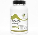 Siperia Ginseng 1000mg ~ 100 kapselia - Ei lisäaineita ~ Luontolisät