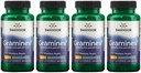 Swanson Maximum Strength Graminex Flower Pollen Extract - Tukee Eturauhasten terveys, virtsateiden toiminta, ja munuaisten terveys - Miesten terveys täydentää - (60 kapselia, 500 mg Each) (4 pakkaus)