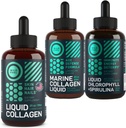 WILD POLTTOAINE Liquid Collagen, Marine Collagen ja Liquid klorofylli Kauneus ja hyvinvointi Bundle