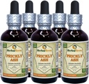 Piikkituhka (Zanthoxylum Clava-herculis) Tincture, kuivattu Bark Liquid Extract (Brandin nimi: HerbalTerra, ylpeästi valmistettu Yhdysvalloissa) 5x2 fl.oz (5x60 ml)