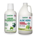 Land Art Aloe Vera Juice - Granaattiomena Maku - Cold Processed - Inner Filet of Organic Fresh Leaves - 64floz + Liquid klorofylli Mint Flavored - Kylmäuutettu Wild non-GMO Alfalfa - 16floz