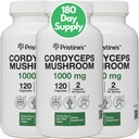 PRISTINE's Cordyceps Mushroom (3 pakkaus) 1000 MG - Athletic Performance, Endurance & Immuniteetti Adaptogen Capsule Supplement - 180 Day Supply - Anti-indiging Tuki antioksidantti