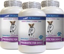 Hyvin ja hyvä koira ripuli - PROBIOTICS koirille - terve Gut - Stop kaasu ripuli ja paha hengitys - Ruoansulatuskanavan Boost - Dog probiootit ripuli - 3 pullot (180 hoitoa)