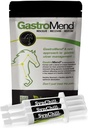 SynChill 3 Pack + GastroMend Bundle hevosille - kattava vatsaterveyden ja käyttäytymisen tuki, Aids mahahaavan avustus, edistää rauhallisuutta ja keskittyä, kaikki luonnolliset, kustannustehokas