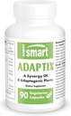 Supersmart Adaptix (Advanced Formula) - 8-in-1 Kasviuutteet - Adaptogen Yrtit Ashwagandha, Astragalus, Ginseng, Reishi 