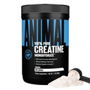 Eläinten Creatiini Monohydraatti Powder - Mikronoitu Creatiini naisille ja miehille, tukee lihasten kasvua, vahvuus, Endurance, Recovery ja ATP tuotanto, kuntosali ja harjoitus täydentää - makuamaton, 500g