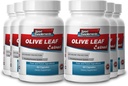Sport Supplements Olive Leaf Extract Tehokas antioksidantti, Immuno System Health 500mg (6 pullot, 360 kapselia)