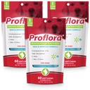 Proflora Probiootti Soft Chews koirille - Veterinary-vahva Daily Probiootti - Digestion Health - Boost Immuniteettijärjestelmä - Ihon ja turkin terveys - 180 Pehmeä Chews