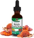 Luonnon vastaus Alkoholiton Reishi uute Hedelmäkeho, 1-Fluid Ounce Liquid Extract Immuunijärjestelmän rakentaja