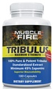 Herbal Nutrition Tribulus Terrestris, bulgaria, 1500 mg 45% Saponins, Lecithin paremman päivityksen, 180 kapselia,...