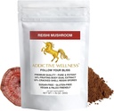 Addictive Wellness Reishi Sieniuute Powder + itiöt (50/50 Blend) Puu Kasvatettu Pure & Potent Wildcrafted Ganoderma 50g (1,76 oz)