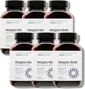 Smartter Nutrition Magnesium Complex - kelated magnesium Glycinate + Citrate, malate for sleep, rentoutuminen, lihakset ja hermot + Kliinisesti todistettu L-Theanine, ei-GMO-360 tabletti[180-päivä tarjonta]