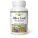 Kasviperäisten tekijöiden mukaan, Olive Leaf 500 mg, Natural Wellness Formula, 90 kapselia
