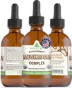 RawGuru Organic Mushroom Complex Tincture - Organic Mushroom Extract Trace Minerals - Nano-Processed Cognitive & Immune Support Supplement - 60 tarjoilut Vegan Drops per 60 ml, pakkaus 1