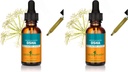 Herb Pharm OSHA Root Liquid uute hengitysteiden tukea - 1 Ounce (Pakki 2)