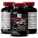 Stamina Support Formula - TRIBULUS TERRESTRIS EXTRACT - Tehon lataus, Virtatuki Blend, Fyysinen tuki, Plant-Powered Energy, kehon tuki Formula, vahvuus ja teho, aktiivinen vahvuus 1Bot 90Tab