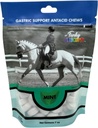 Funky Unicorn Gastic Chews - MINT maku