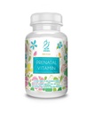 Actif Organic Prenatal Vitamiini 25+ Organic Vitamiinit, 100% Natural, DHA, EPA, Omega 3, ja Organic Herbal Blend - ei-GMO, 90