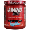 iSatori Amino- GRO BCAA Powder, haaraketjuiset Aminohapot glutamiinilla, Elektrolyyttijauhe & Bio-GRO Bio-Active Peptides for Muscle Growth & Post Treout Recovery, Blue Razz Snow Cone (30 Servings)