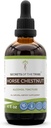 Hevosen, kastanjan, kastanjan (Aesculus hippocastanum) kuivattujen pähkinöiden tiiviste (4 FL OZ)